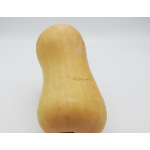 Pumpkin butternut whole